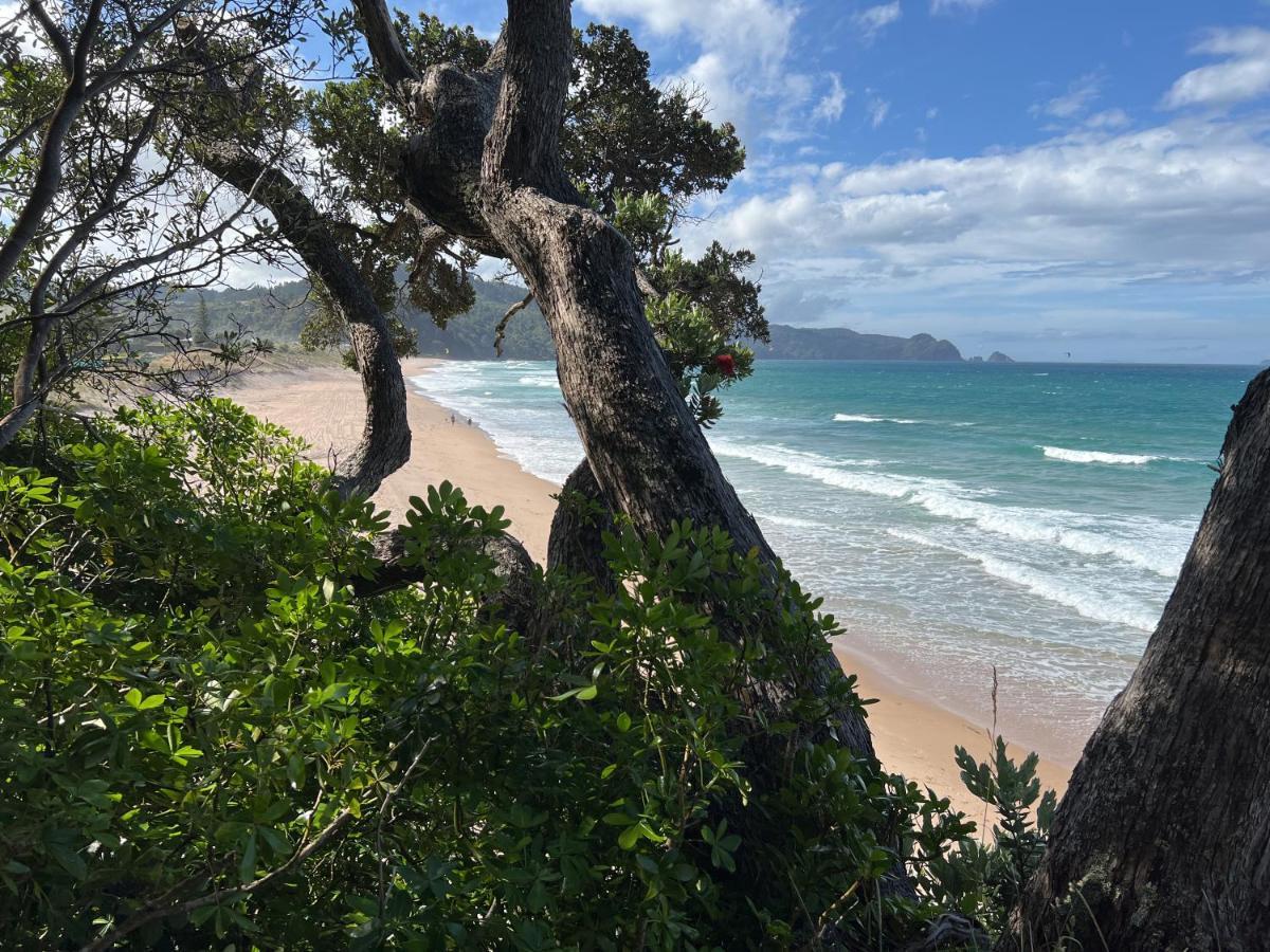Oceana Heights Paradise - Beautiful 2 Bdrm Self Contained Apartment Tairua Exterior foto